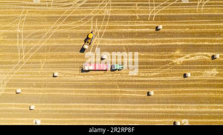 Vue de dessus de la pelle hydraulique lors du chargement de balles de paille sur une remorque, remorquée par un tracteur sur une terre agricole, à l'aide d'une lame de chariot élévateur, support supplémentaire. Banque D'Images