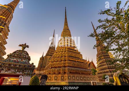 Chedis im buddhistischen Tempel Wat Pho in der Abenddämmerung, Bangkok, Thaïlande, Asif | Chedis du temple bouddhiste complexe Wat Pho au crépuscule, B Banque D'Images