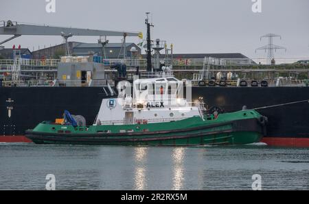 Cobh, Cork, Irlande. 21st mai, mai 2023. Le remorqueur DSG Alex escorte le pétrolier Cordoba jusqu'au quai en eau profonde de Ringaskiddy, Co. Cork, Irlande. - Crédit; David Creedon / Alamy Live News Banque D'Images