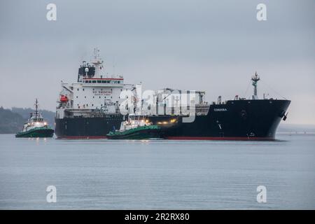 Cobh, Cork, Irlande. 21st mai 2023. En début de matinée, le pétrolier Cordoba est escorté vers le haut de la rivière par les remorqueurs DSG Alex et DSG Titan pendant qu'elle passe Cobh sur son chemin à Ringaskiddy, Co. Cork, Irlande. - Crédit; David Creedon / Alamy Live News Banque D'Images