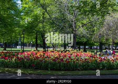 Carl Johans Park lors d'une journée de printemps ensoleillée à Norrkoping. Norrkoping est une ville industrielle historique de Suède. Banque D'Images