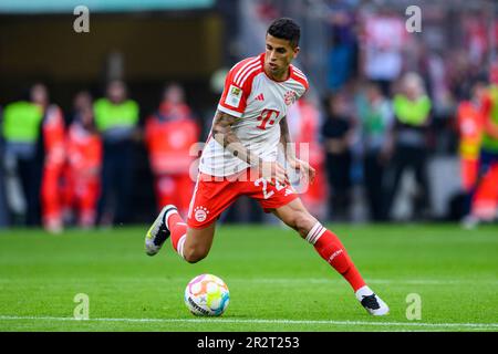 Munich, Allemagne. 20th mai 2023. Football: Bundesliga, Bayern Munich - RB Leipzig, Matchday 33, Allianz Arena. Joao Pedro Cavaco Cancelo de Munich en action. Crédit : Tom Weller/dpa - REMARQUE IMPORTANTE : Conformément aux exigences de la DFL Deutsche Fußball Liga et de la DFB Deutscher Fußball-Bund, il est interdit d'utiliser ou d'avoir utilisé des photos prises dans le stade et/ou du match sous forme de séquences et/ou de séries de photos de type vidéo./dpa/Alay Live News Banque D'Images