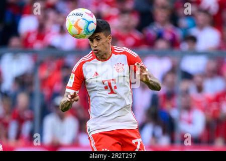 Munich, Allemagne. 20th mai 2023. Football: Bundesliga, Bayern Munich - RB Leipzig, Matchday 33, Allianz Arena. Joao Pedro Cavaco Cancelo de Munich en action. Crédit : Tom Weller/dpa - REMARQUE IMPORTANTE : Conformément aux exigences de la DFL Deutsche Fußball Liga et de la DFB Deutscher Fußball-Bund, il est interdit d'utiliser ou d'avoir utilisé des photos prises dans le stade et/ou du match sous forme de séquences et/ou de séries de photos de type vidéo./dpa/Alay Live News Banque D'Images