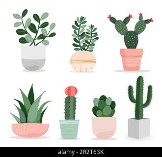 Une collection de cactus mignon et plante succulente en pots plantes d'intérieur en illustration vectorielle de style plat. Illustration de Vecteur