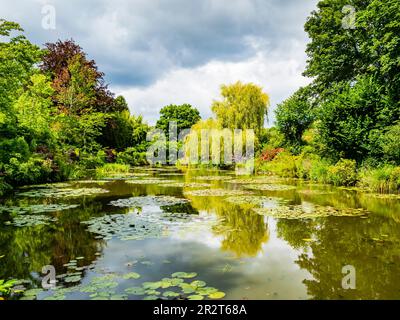 Vue imprenable sur le jardin de Monet et son étang aux nénuphars en été, Giverny, France Banque D'Images