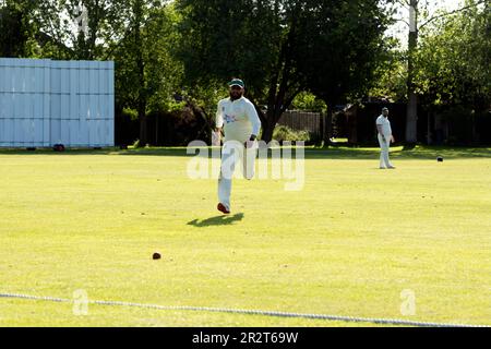 Club cricket, Warwick, Angleterre, Royaume-Uni. Un péroné qui poursuit la balle jusqu'à la limite. Banque D'Images