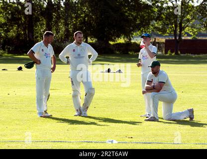 Club cricket, Warwick, Angleterre, Royaume-Uni. Joueurs attendant entre les gains. Banque D'Images