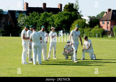 Club cricket, Warwick, Angleterre, Royaume-Uni. Joueurs discutant entre les gains. Banque D'Images