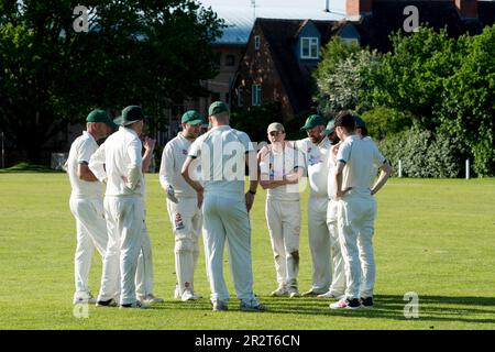 Club cricket, Warwick, Angleterre, Royaume-Uni. Joueurs discutant entre les gains. Banque D'Images