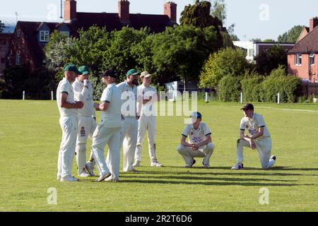 Club cricket, Warwick, Angleterre, Royaume-Uni. Joueurs discutant entre les gains. Banque D'Images