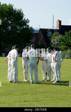 Club cricket, Warwick, Angleterre, Royaume-Uni. Joueurs discutant entre les gains. Banque D'Images