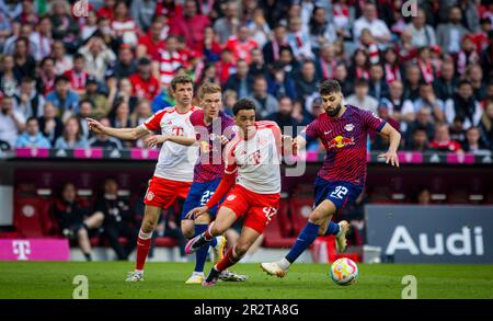 Munic, Allemagne. 20th mai 2023. Jamal Musiala (Muenchen), Marcel Halstenberg (RBL), Thomas Mueller (Muenchen), Josko Gvardiol (RBL) FC Bayern München Banque D'Images