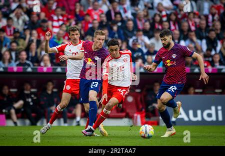 Munic, Allemagne. 20th mai 2023. Jamal Musiala (Muenchen), Marcel Halstenberg (RBL), Thomas Mueller (Muenchen), Josko Gvardiol (RBL) FC Bayern München Banque D'Images