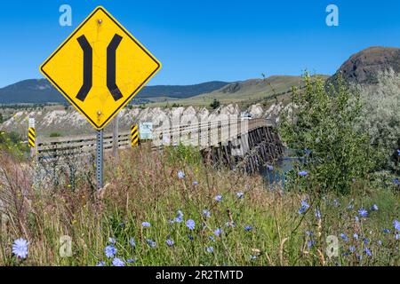 Vue sur toute la longueur du pont en bois de Pritchard (pont de stringer) sur la rivière Thompson, Pritchard, Canada, avec en avant les yeux bleus de bébé en fleur ou N Banque D'Images