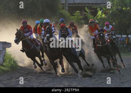 Bantul, Yogyakarta, Indonésie. 21st mai 2023. Jsjjjjjockey sonne son cheval dans le championnat de course de niveau national au Sultan Agung Horse Race Track, Bantul. 191 chevaux de 12 provinces indonésiennes ont participé à la compétition. (Credit image: © Angga Budhiyanto/ZUMA Press Wire) USAGE ÉDITORIAL SEULEMENT! Non destiné À un usage commercial ! Banque D'Images