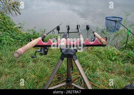 quatre tiges d'alimentation en carpe sur un support à pied à tige avec alarmes électroniques près du lac pendant la journée. Poche arrière. Pêche, passe-temps, loisirs en plein air Banque D'Images