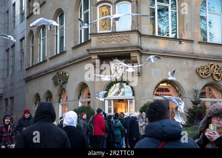 Les gens s'alignent devant le café Reichard près de la cathédrale le week-end de l'Avent 4th tandis que les mouettes volent au-dessus de leur tête, Cologne, Allemagne. Menschen Banque D'Images