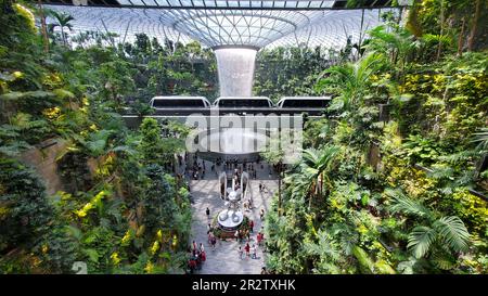 Aéroport de Changi, Singapour - 18 février 2023 - magnifique vue sur la cascade intérieure de Jewel et le Skytrain passant la pluie Vortex dans l'aéroport Banque D'Images