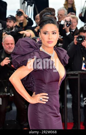 Salma Hayek assiste à la première de „Killers of the Flower Moon“ lors du festival annuel de Cannes 76th sur 20 mai 2023 à Cannes, France. Banque D'Images