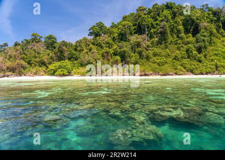 Korallenriff am Traumstrand Ao-niang auf der Insel Koh Kradan in der Andamanensee, 2023 zum schönsten Strand der welt gewählt, Thaïlande, Asie | Co Banque D'Images