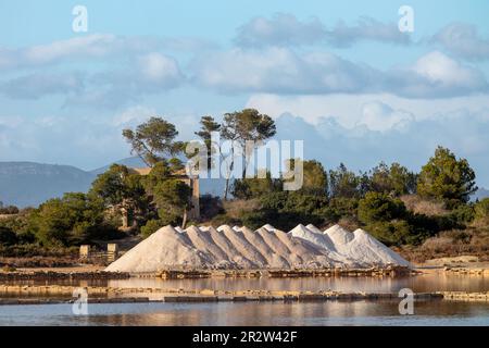 Salinas de s'Avill, étang d'évaporation de sel avec des piles de sel à Colonia de Sant Jordi, Majorque, Majorque, Iles Baléares, Espagne, Europe Banque D'Images