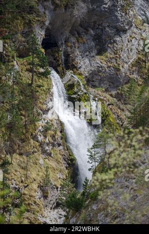 Vue imprenable sur le ruisseau de Negrone, s'élevant dans les Alpes liguriennes forme le fleuve Tanaro, région du Piémont, province de Cuneo, Italie Banque D'Images