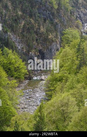 Vue imprenable sur le ruisseau de Negrone, s'élevant dans les Alpes liguriennes forme le fleuve Tanaro, région du Piémont, province de Cuneo, Italie Banque D'Images