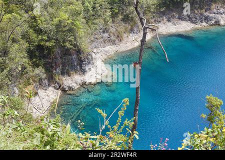 Les superbes lacs bleu profond du parc national des lacs Montebello à Chiapas, Mexique Banque D'Images