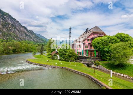 Bad Goisern am Hallstättersee: Râteau à bois au dépotion du lac Hallstätter Voir à Steeg, restaurant Steegwirt à Salzkammergut, Oberösterreich, Upper A Banque D'Images