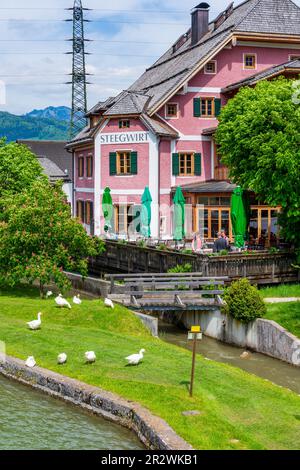 Bad Goisern am Hallstättersee: Restaurant Steegwirt à Salzkammergut, Oberösterreich, haute-Autriche, Autriche Banque D'Images