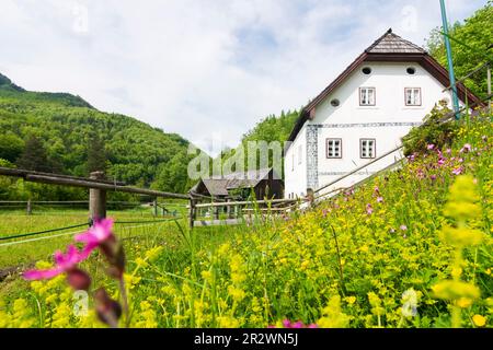 Bad Goisern am Hallstättersee: Moulin à eau Anzenaumühle à Salzkammergut, Oberösterreich, haute-Autriche, Autriche Banque D'Images