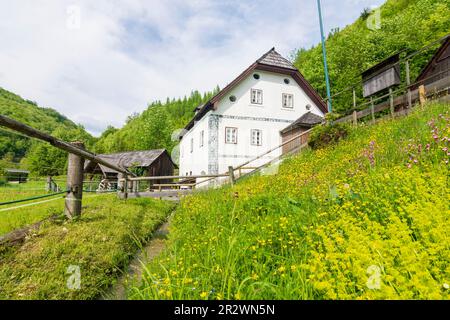 Bad Goisern am Hallstättersee: Moulin à eau Anzenaumühle à Salzkammergut, Oberösterreich, haute-Autriche, Autriche Banque D'Images