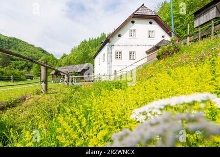 Bad Goisern am Hallstättersee: Moulin à eau Anzenaumühle à Salzkammergut, Oberösterreich, haute-Autriche, Autriche Banque D'Images