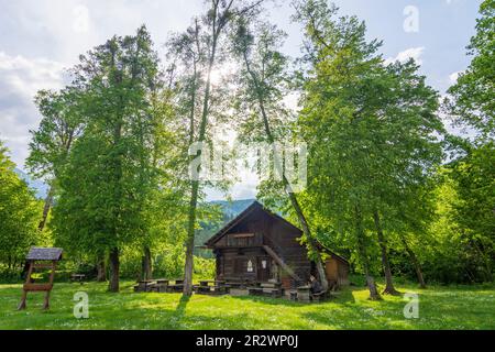 Bad Goisern am Hallstättersee: Holzknechtmuseum (musée du bois) à Salzkammergut, Oberösterreich, haute-Autriche, Autriche Banque D'Images