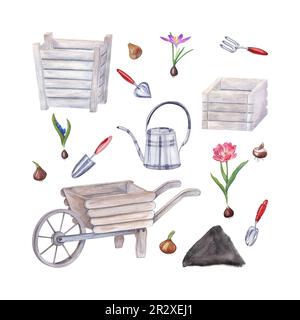 Aquarelle outils de jardin, bulbes de fleurs, double tulipe rose, crocus, scilla isolé sur fond blanc. Illustration de l'arrosoir, pots en bois Banque D'Images