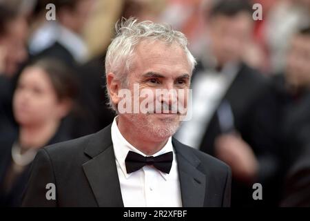 Cannes, France. 20th mai 2023. CANNES, FRANCE - 20 MAI : Alfonso Cuarónassiste au tapis rouge « les meurtriers de la Lune des fleurs » lors du festival annuel de Cannes 76th au Palais des Festivals sur 20 mai 2023 à Cannes, France. Credit: dpa/Alay Live News Banque D'Images