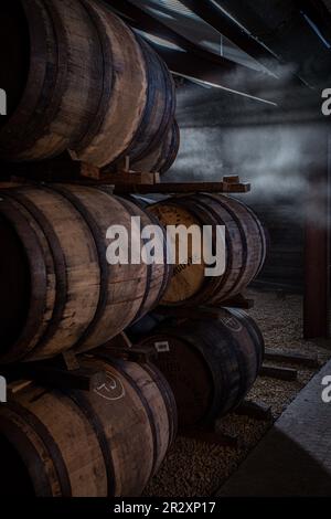 Fûts et fûts en bois à l'entrepôt de la distillerie de whisky Glengoyne, en Écosse Banque D'Images