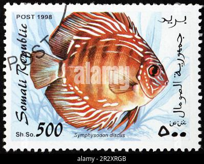 SOMALIE - VERS 1998: Un timbre imprimé en Somalie montre le discus rouge, symphysodon discus, est une espèce de cichlidés originaire du bassin de l'Amazone, vers 1998 Banque D'Images