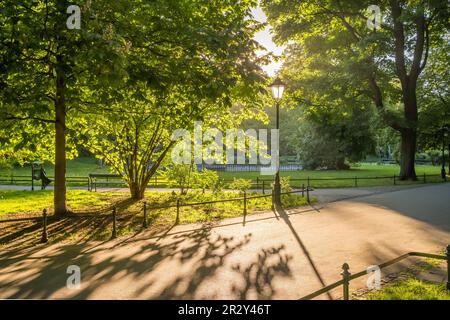 Magnifique parc de la ville au coucher du soleil en été. Banque D'Images