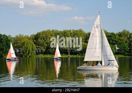 Bateaux à voile, Aasee, lac, aire de loisirs, Muenster, Muensterland, Rhénanie-du-Nord-Westphalie, Allemagne Banque D'Images