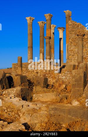 Volubilis, Mulay Idris, Meknes, ruines romaines de Volubilis, site du patrimoine mondial de l'UNESCO, Maghreb, Afrique du Nord, Maroc Banque D'Images