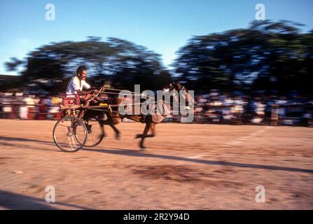 Course de chariot à cheval menée par la Société pour la prévention de la cruauté envers les animaux (SPCA) à Coimbatore, Tamil Nadu, Inde du Sud, Inde, Asie Banque D'Images