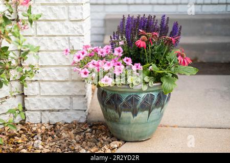 Une marmite remplie de pâquerettes rouges de Gerbera, de jamesonii de Gerbera et de pétunias roses, « rose bubblegum » devant une clôture de cour en briques. ÉTATS-UNIS. Banque D'Images