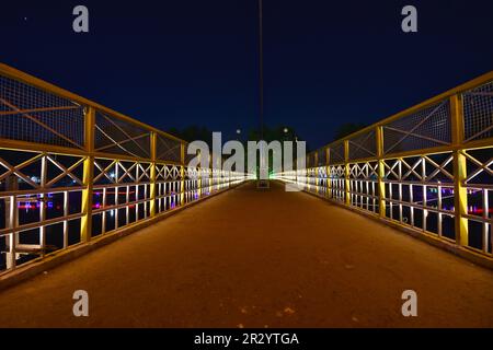 Illumination de la route et du pont avant le Sommet de G20. Le Groupe des vingt (G20) est le premier forum mondial de coopération économique. Toutes les grandes questions économiques internationales sont influencées et renforcées par elle. Au sujet de 22-24 mai, la vallée du Cachemire accueillera la troisième réunion du groupe de travail sur le tourisme de G20 sous la présidence de l'Inde. Après que l'Inde a révoqué le statut d'autonomie spéciale du Cachemire administré par l'Inde en août 2019, la réunion sera le premier événement international majeur dans la région contestée depuis. (Photo de Mubashir Hassan/Pacific Press) Banque D'Images