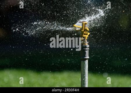 Photo du dossier datée du 11/07/2022 d'une tête sprinkleur pulvérisant de l'eau sur une pelouse verte à Londres. Un important assureur avertit les jardiniers passionnés de prendre en compte les risques d'affaissement lorsqu'ils plantent des arbres et des arbustes près de leur domicile. Une étude menée pour Aviva suggère qu'environ un tiers (33 %) des personnes ayant un espace extérieur dans tout le Royaume-Uni s'attendent à planter de nouveaux arbres, haies ou arbustes cette année. La vague de chaleur britannique observée l'été dernier a alimenté les inquiétudes quant aux risques de subsidence. Date de publication : lundi 22 mai 2023. Banque D'Images