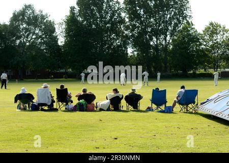 Club cricket, Warwick, Angleterre, Royaume-Uni. Spectateurs. Banque D'Images