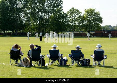 Club cricket, Warwick, Angleterre, Royaume-Uni. Spectateurs. Banque D'Images