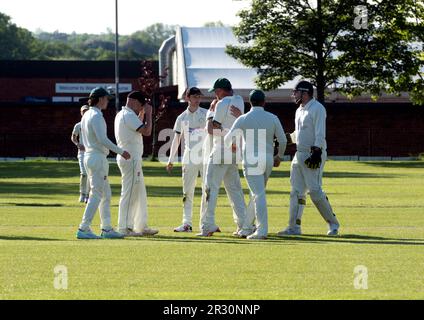 Club cricket, Warwick, Angleterre, Royaume-Uni. Les joueurs qui célèbrent la prise d'un cricket. Banque D'Images