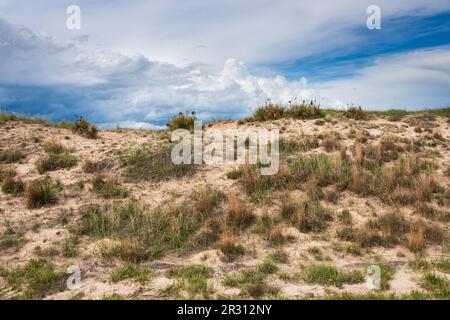 Les dunes du centre-nord du Nebraska Banque D'Images