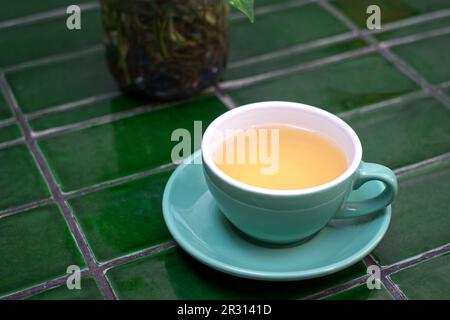 Thé camomille chaud dans une tasse verte sur une table carrelée de vert. Banque D'Images